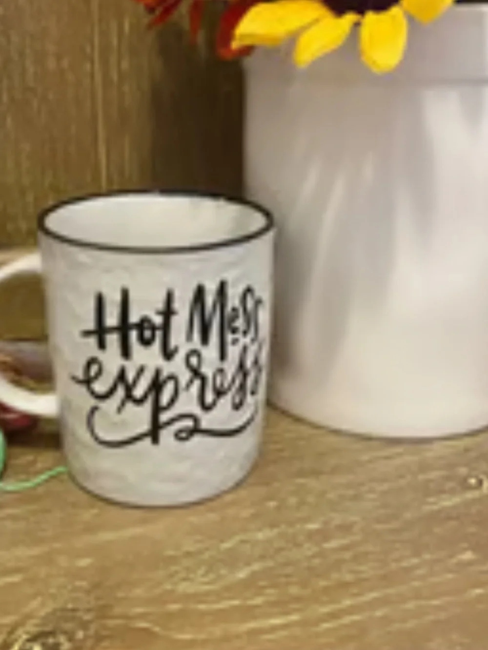 Primal Design Hot Mess Express Gift Mug
